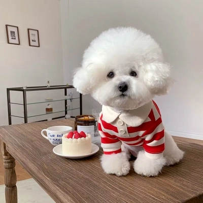 Casual Striped Round Neck T-Shirt Two-legged Pet Clothes 02