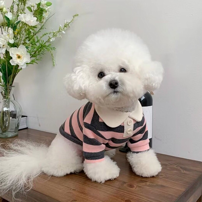 Casual Striped Round Neck T-Shirt Two-legged Pet Clothes