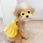 Cute Daisy Princess Suspender Dress Pet Clothes