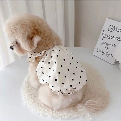 Cute Princess Style Polka Dot Dress Pet Clothes 02