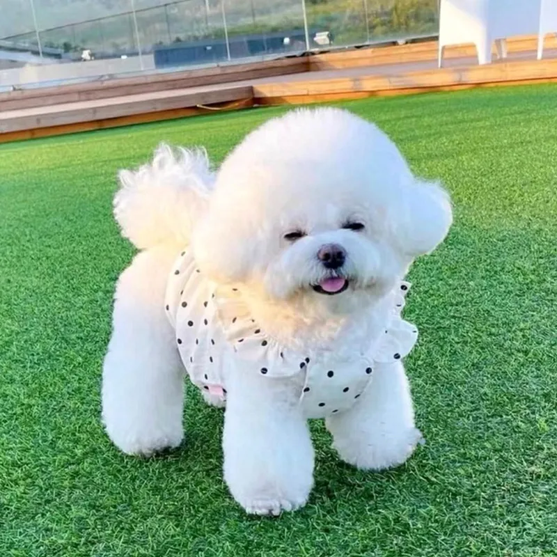 Cute Princess Style Polka Dot Dress Pet Clothes