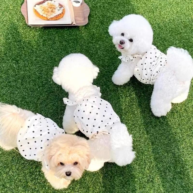 Cute Princess Style Polka Dot Dress Pet Clothes