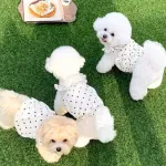 Cute Princess Style Polka Dot Dress Pet Clothes