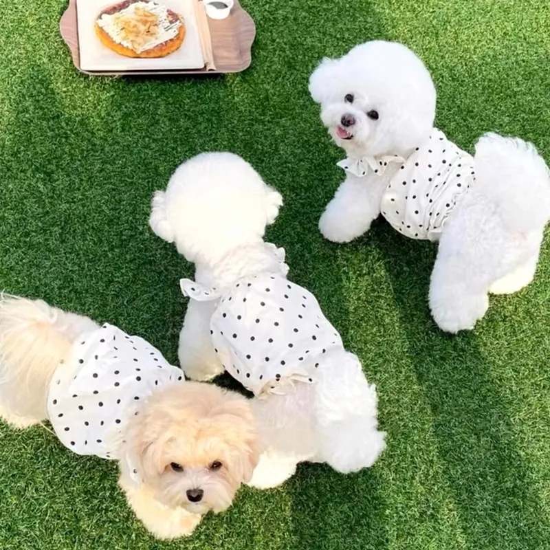 Cute Princess Style Polka Dot Dress Pet Clothes