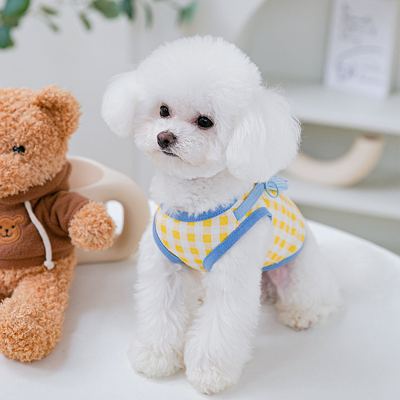 Cute Small Animal Shoulder Bag Vest Two-legged Pet Clothes
