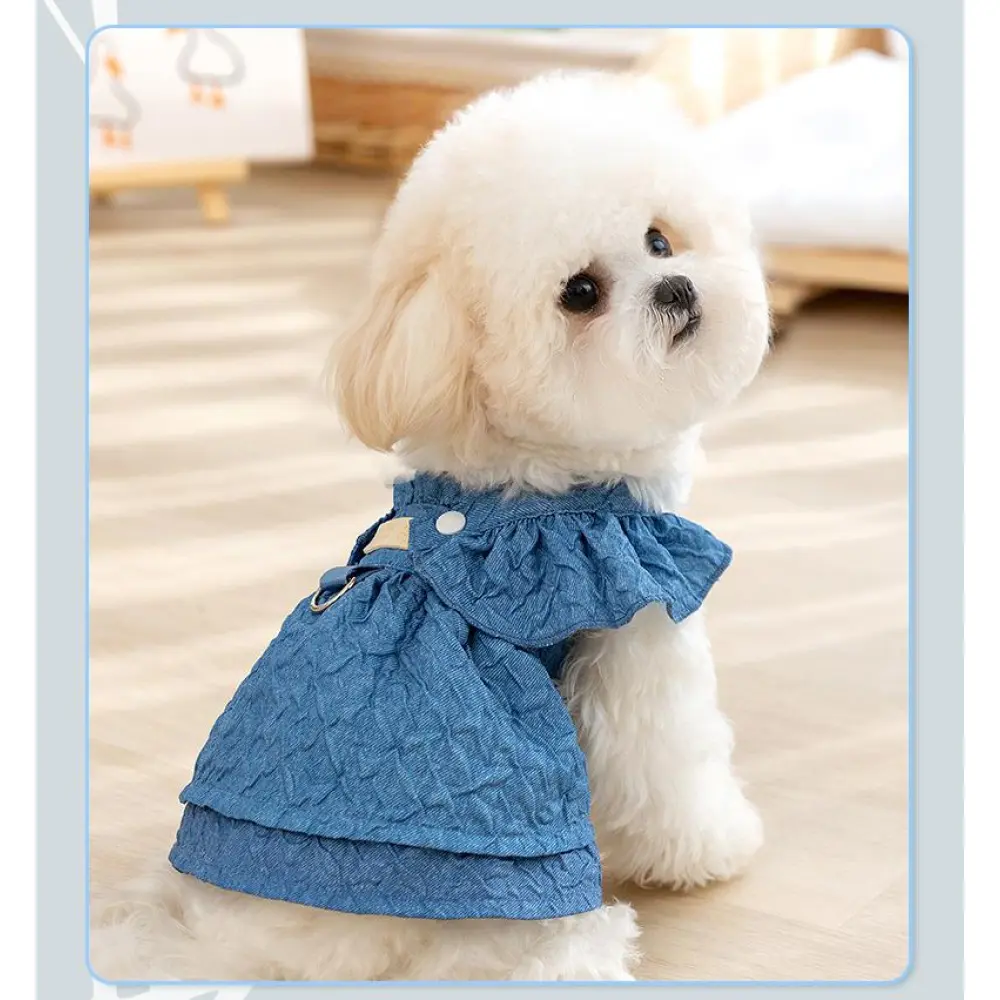 Denim Dress Cat Two-Legged Suspender Skirt Pet Dog Clothes