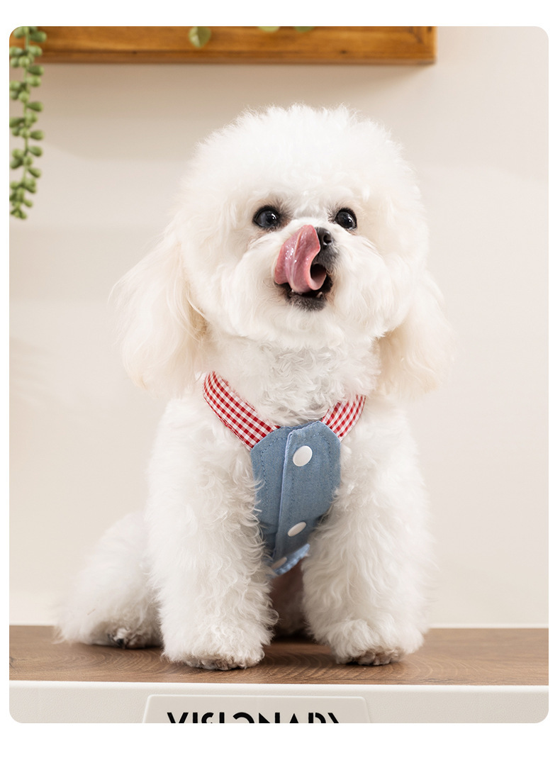 Fashionable Denim Skirt Princess Style Pet Clothes
