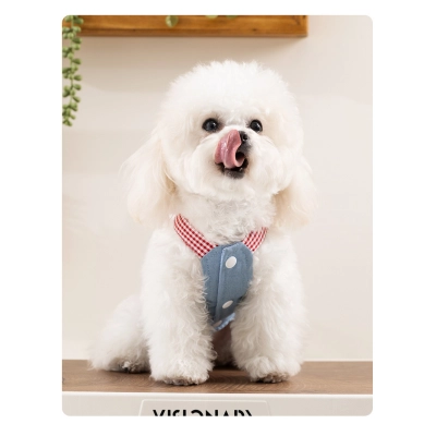 Fashionable Denim Skirt Princess Style Pet Clothes 02
