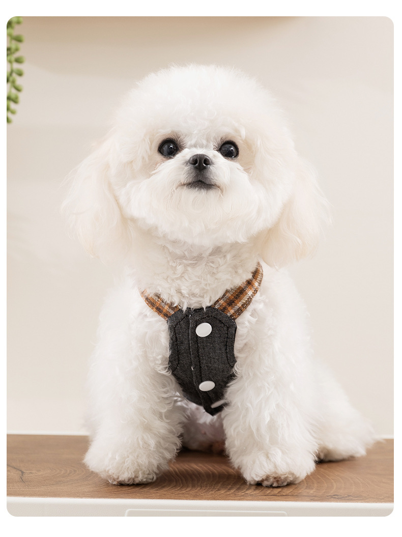 Fashionable Denim Skirt Princess Style Pet Clothes