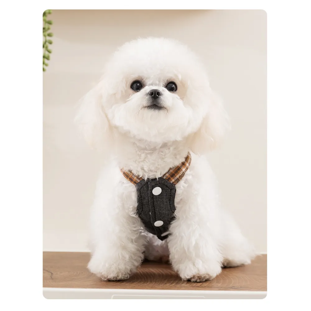 Fashionable Denim Skirt Princess Style Pet Clothes