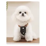 Fashionable Denim Skirt Princess Style Pet Clothes