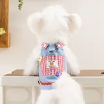 Fashionable Denim Skirt Princess Style Pet Clothes