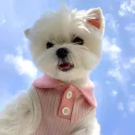 Macaron Contrast Lapel Casual T-Shirt Pet Clothes