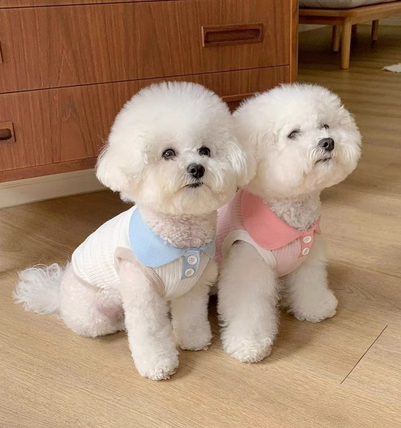 Macaron Contrast Lapel Casual T-Shirt Pet Clothes