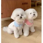 Macaron Contrast Lapel Casual T-Shirt Pet Clothes