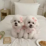 Princess Style Cute Flying Sleeve Striped Dress Pet Clothes
