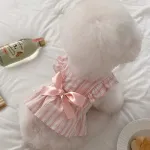 Princess Style Cute Flying Sleeve Striped Dress Pet Clothes