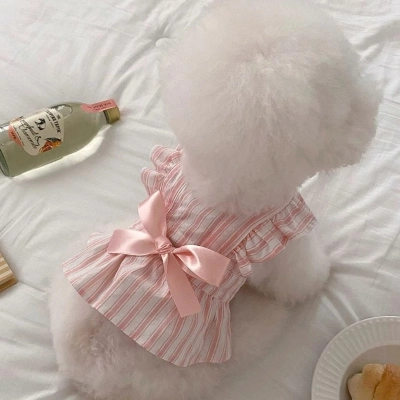 Princess Style Cute Flying Sleeve Striped Dress Pet Clothes 02