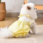 Pet Princess Skirt Spring/Summer Thin Clothes