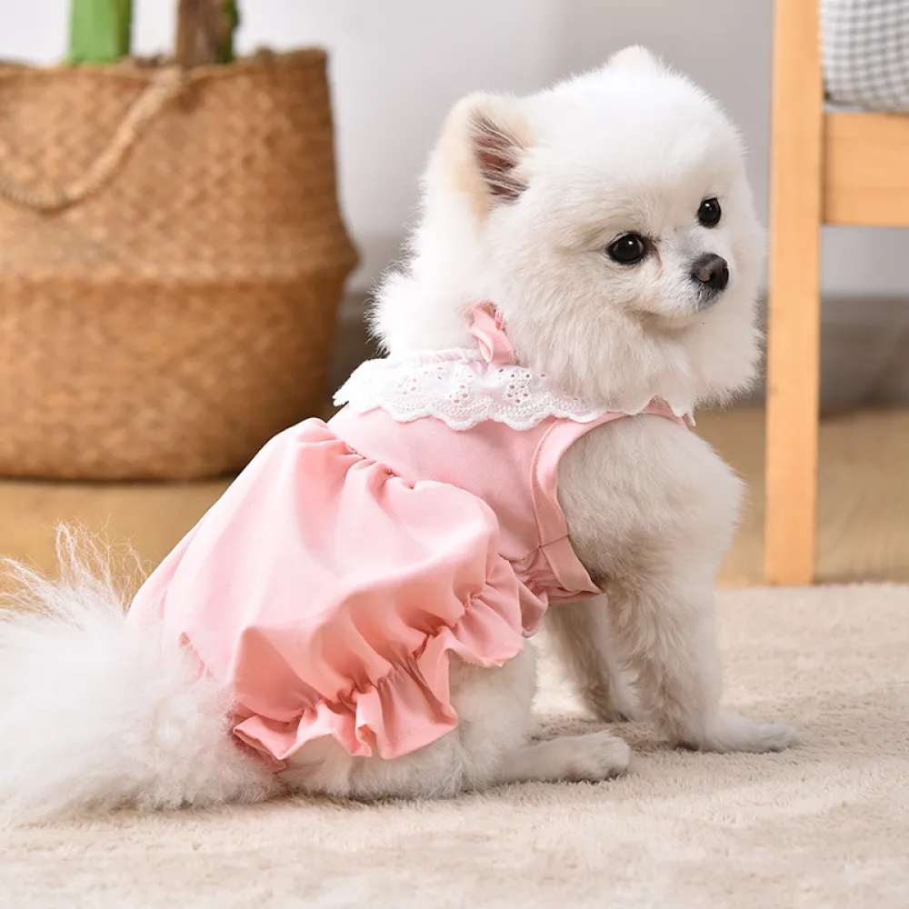 Pet Princess Skirt Spring/Summer Thin Clothes