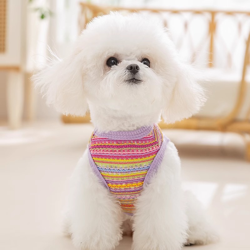 Pet Woven Hollow Vest With Thin Design And Traction Buckle