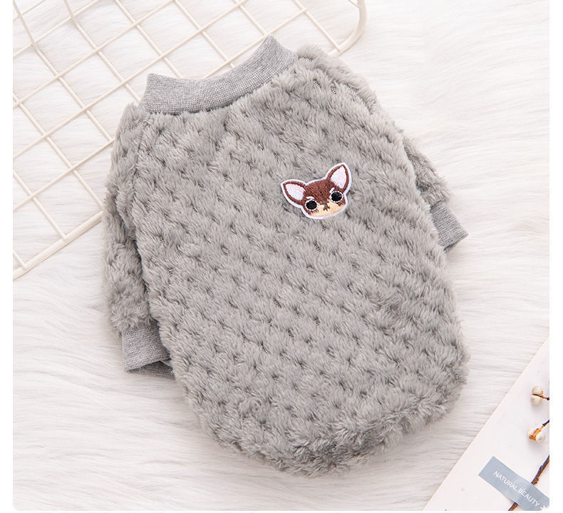 Pet Autumn And Winter Hoodie