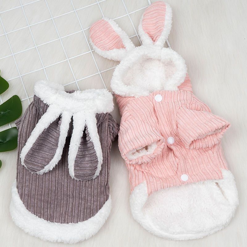 Dog Autumn And Winter Warm Corduroy Long Ear Rabbit Two Foot Clothes