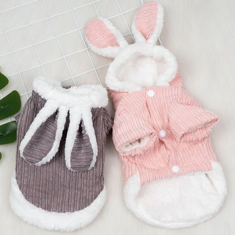 Dog Autumn And Winter Warm Corduroy Long Ear Rabbit Two Foot Clothes