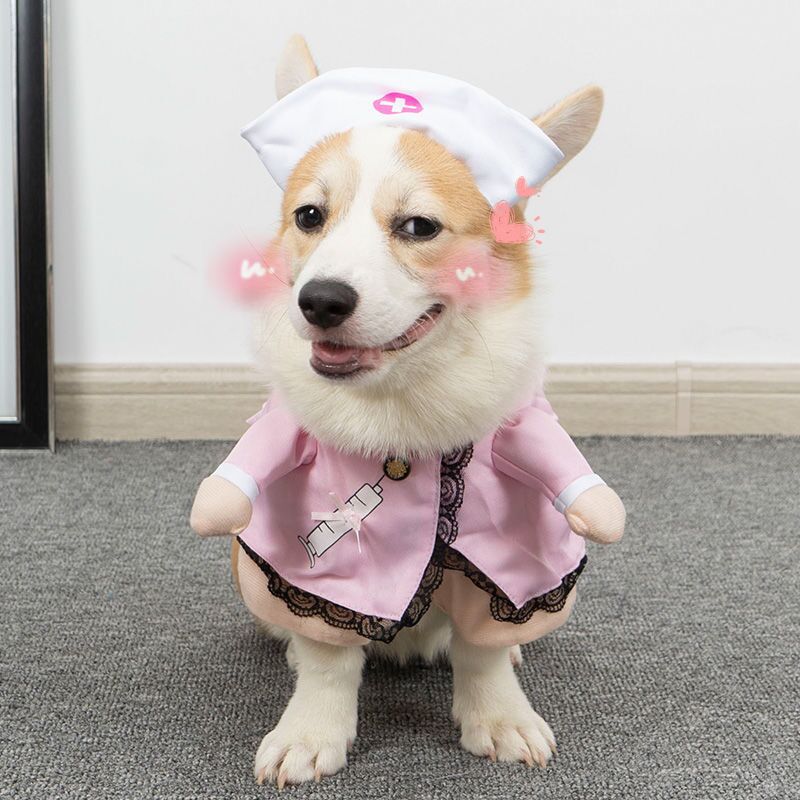 Nurse Costume Funny And Funny Transformation Costume