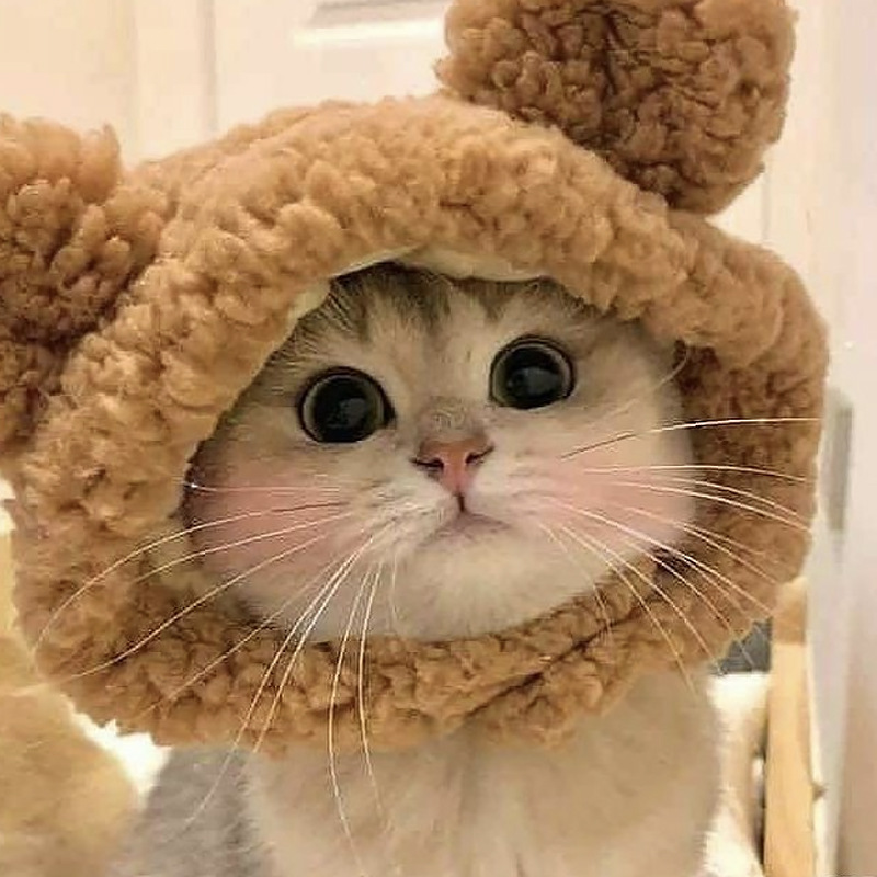 Pet Hat Bear Plush Head Cover