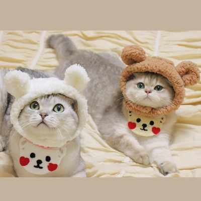 Pet Hat Bear Plush Head Cover 01