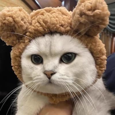 Pet Hat Bear Plush Head Cover 02