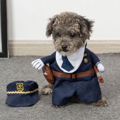 Pet Sheriff Costume Funny And Funny Transformation Outfit 01