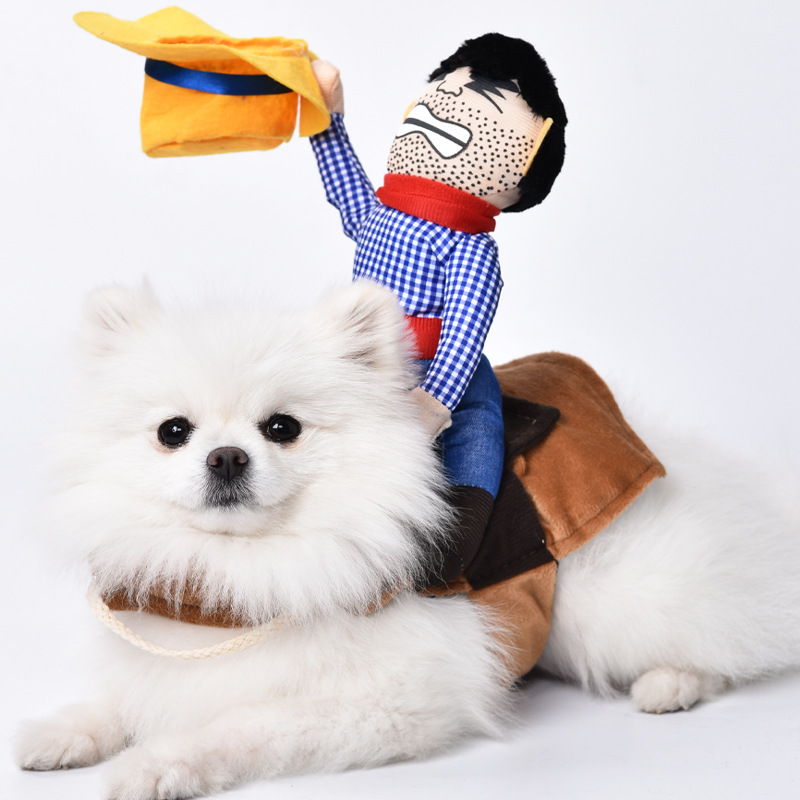 Cowboy Costume Funny And Funny Transformation Costume