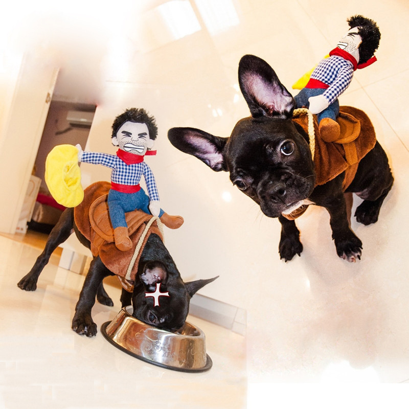 Cowboy Costume Funny And Funny Transformation Costume