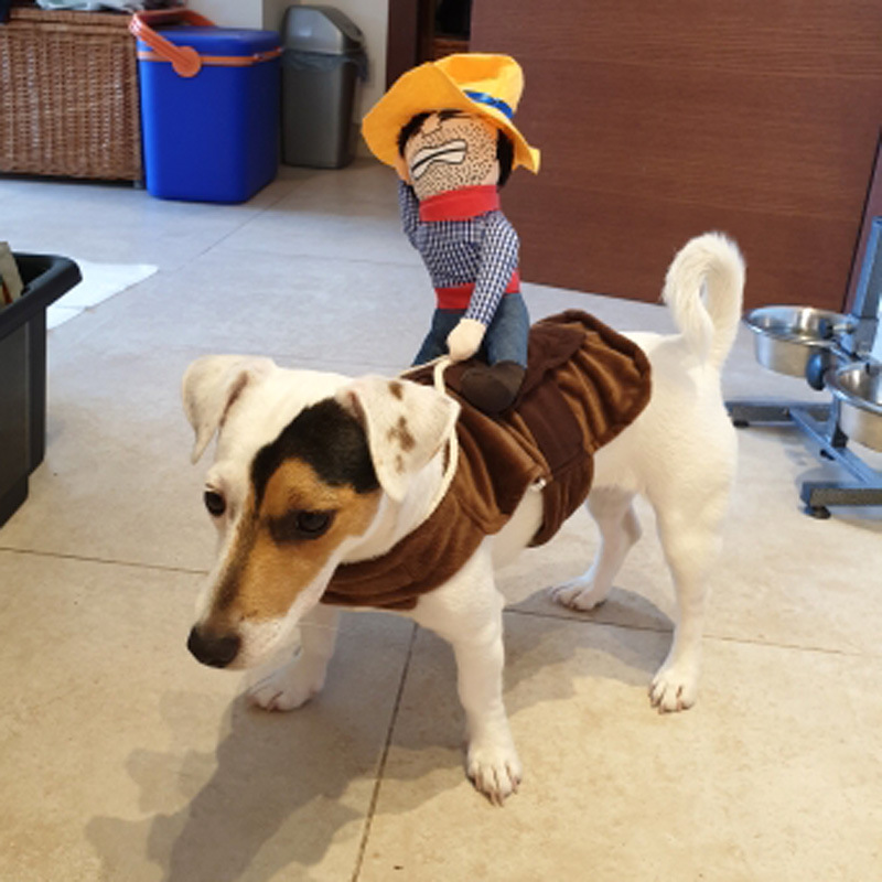 Cowboy Costume Funny And Funny Transformation Costume