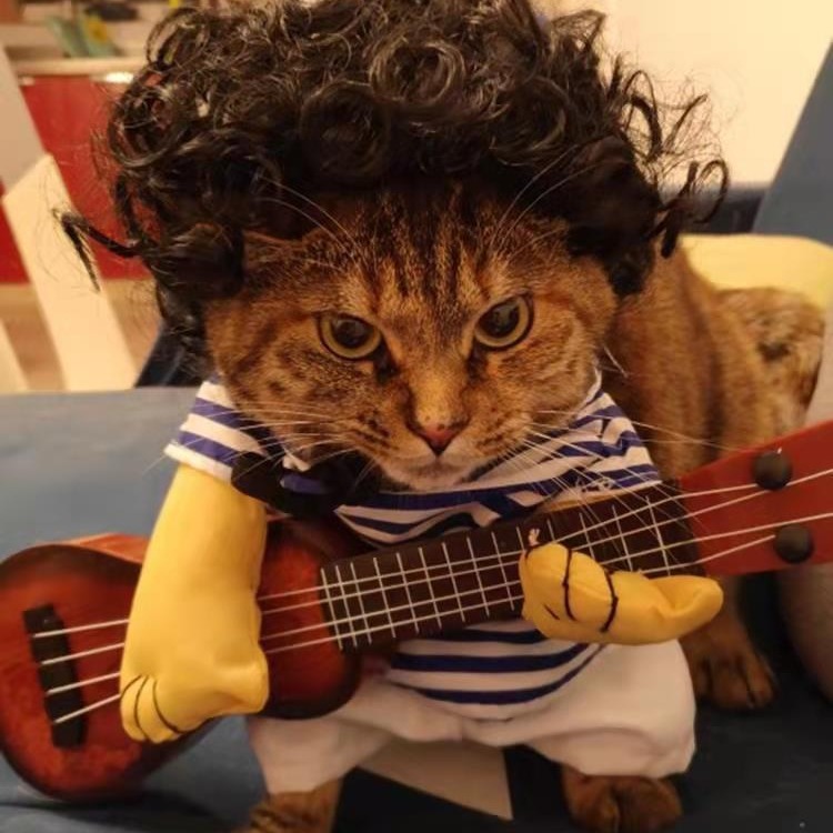 Pet Guitar Clothes Funny Outfit