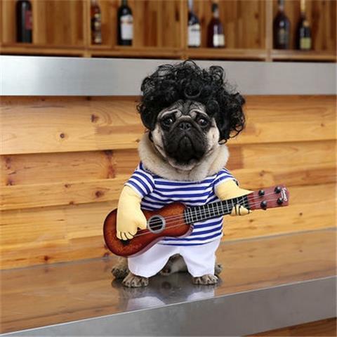 Pet Guitar Clothes Funny Outfit