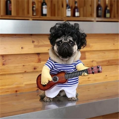 Pet Guitar Clothes Funny Outfit 02