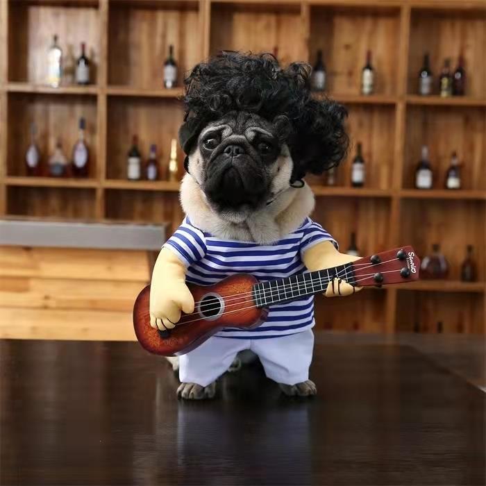 Pet Guitar Clothes Funny Outfit