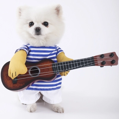 Pet Guitar Clothes Funny Outfit 01
