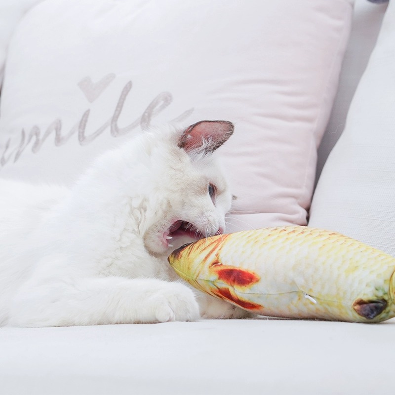Plush Cat Mint Simulation Fish Toy