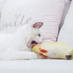 Plush Cat Mint Simulation Fish Toy