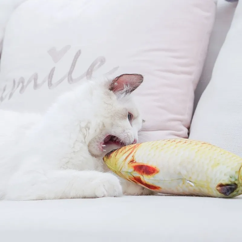 Plush Cat Mint Simulation Fish Toy