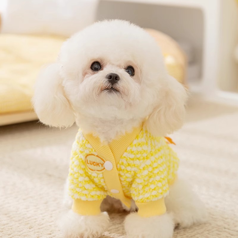 Pet Clothes Cartoon Cute Two Leg Pulling Velvet Cover