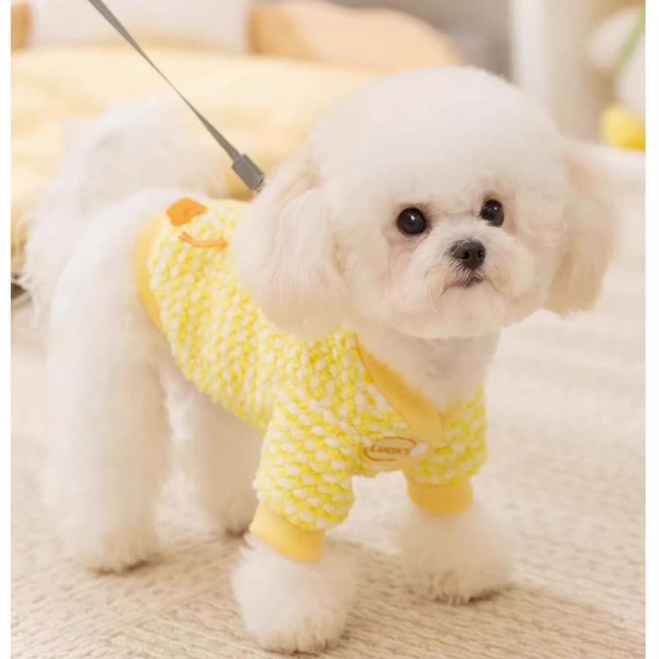 Pet Clothes Cartoon Cute Two Leg Pulling Velvet Cover