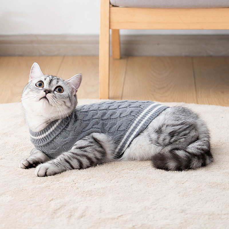 Pet Spring and Autumn Knitted Sweater