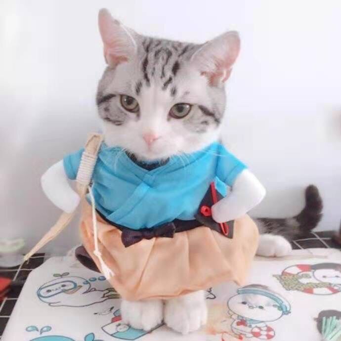 Pet Spring and Autumn Playful Transformation Costume