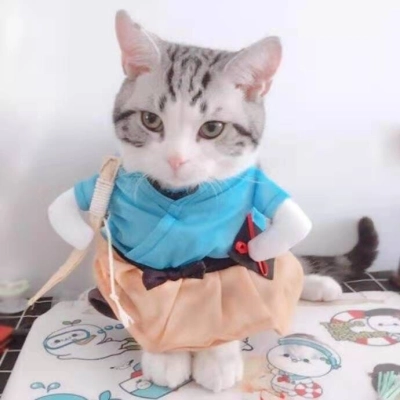 Pet Spring and Autumn Playful Transformation Costume 02