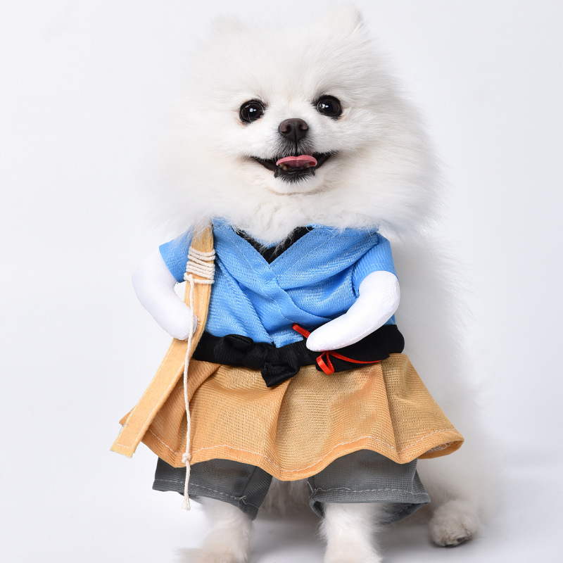 Pet Spring and Autumn Playful Transformation Costume